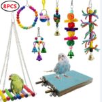 Combination parrot toys swing ball bell standing