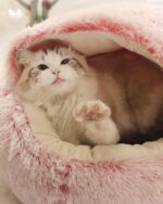 Winter 2 in 1 cat bed round warm pet bed