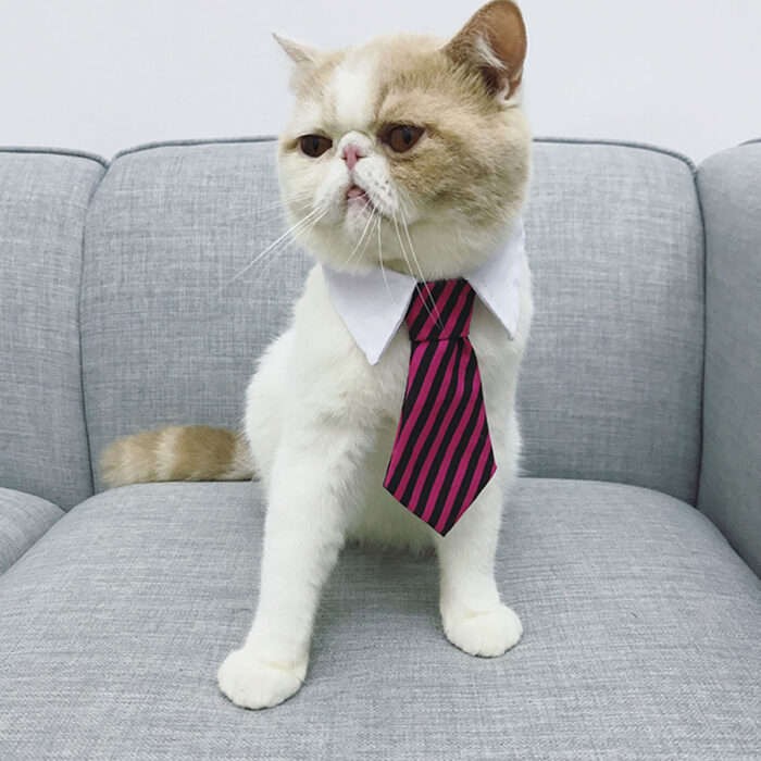 10 pcs pet dog bow ties adjustable cat neck tie stripe cute cotton necktie puppy kitten pets grooming collar