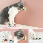 360 rotatable catnip ball toy cat licking treat toys healthy cat candy licking snack adhesive edible pet cat interactive toys