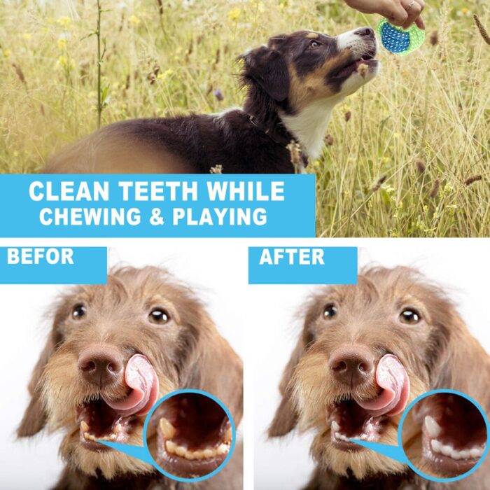 7/10 pcs dog toy set chew bite cotton rope play toys teeth cleaning puppy outdoor chewing playing squeaky rubber toys pet supply