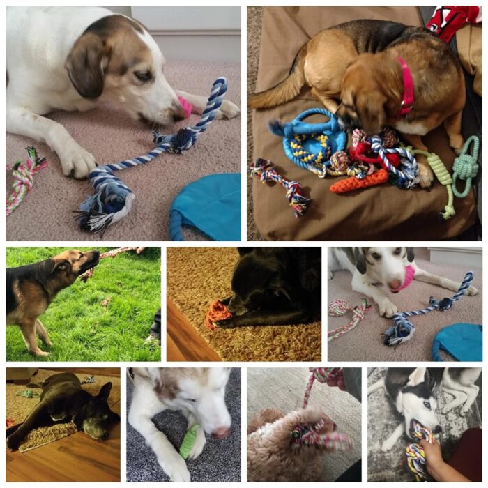 7/10 pcs dog toy set chew bite cotton rope play toys teeth cleaning puppy outdoor chewing playing squeaky rubber toys pet supply