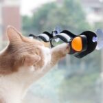 Cat interactive track ball toy s-shaped window suction cup table tennis tracking balls hanging sucker funny pets playing toys