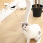 Electric automatic lifting plush ball for cats plastic kitten smart interactive ball teaser toys funny cat product