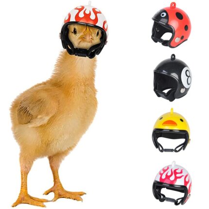 Small pet helmet chicken hard hat bird quail pigeon hat headgear pet bird helmet cartoon helmet pet supplies accessories