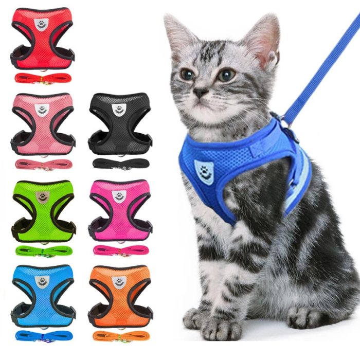 Anti-escape cat harness with collar for safe outdoor adventures – tent-shaped pet accessory with bow and leash for added style