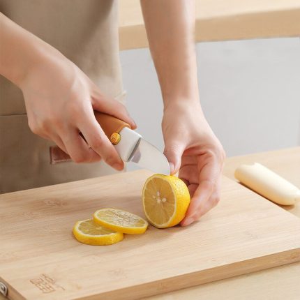 Multi-purpose stainless steel paring knife – perfect for all your kitchen needs