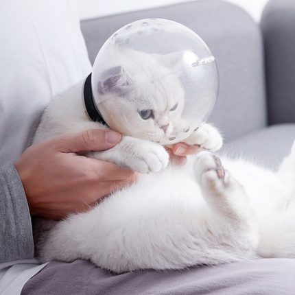Cat grooming accessories: kitten protective space ball