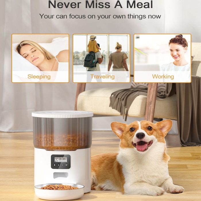 4l smart pet feeder – automatic food dispenser with audio recording and regular quantitative feeding, ideal for cats and dogs