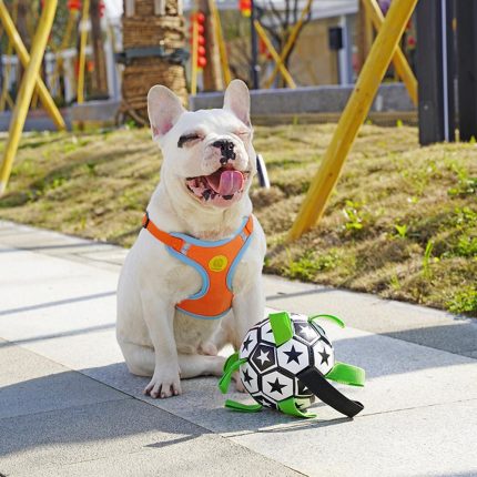 Outdoor interactive pet dog football toy with rope – multifunctional chew and training toy for dogs, pet supplies