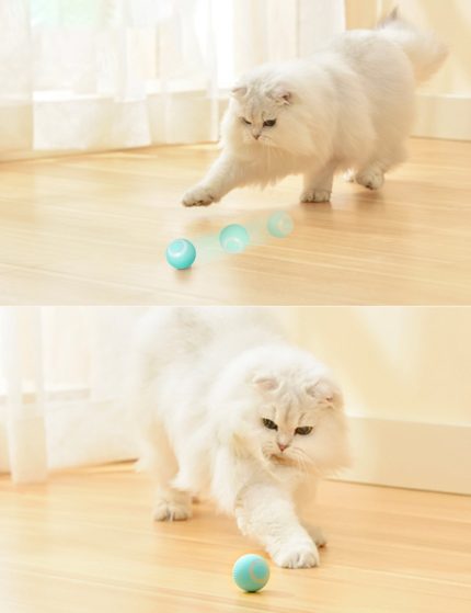 Smart electric cat toy – automatic rolling ball for interactive training and indoor playtime
