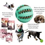 Rubber dog ball toy for puppies and large dogs – fun and functional for playtime, teeth cleaning, and treat dispensing