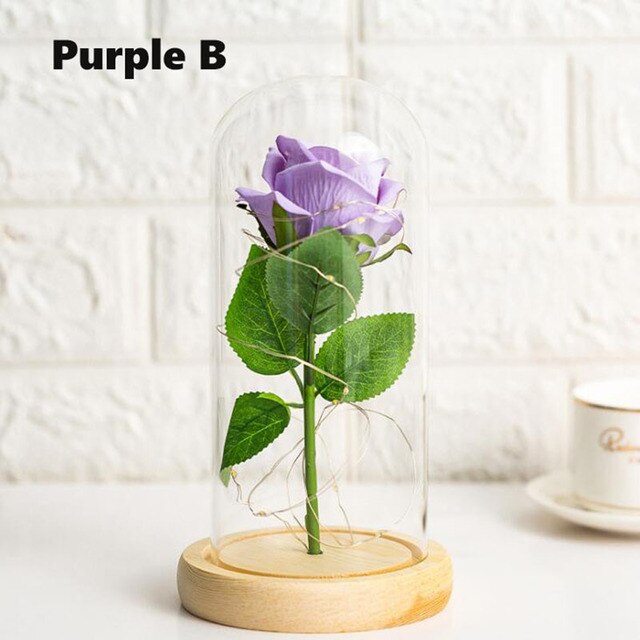 purple B warm light