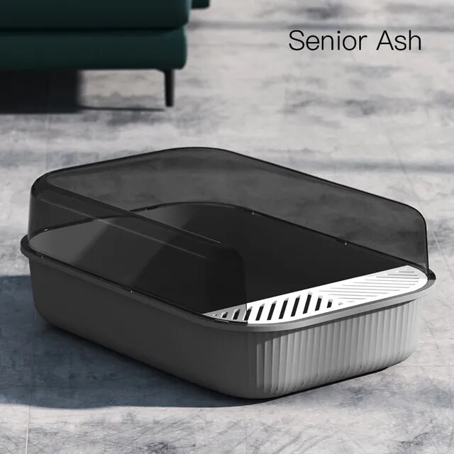 Senior ash