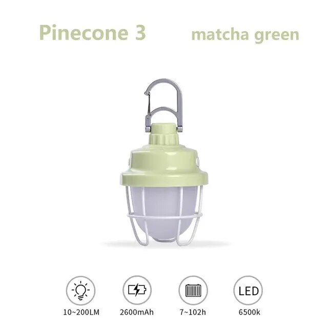 Pinecone 3