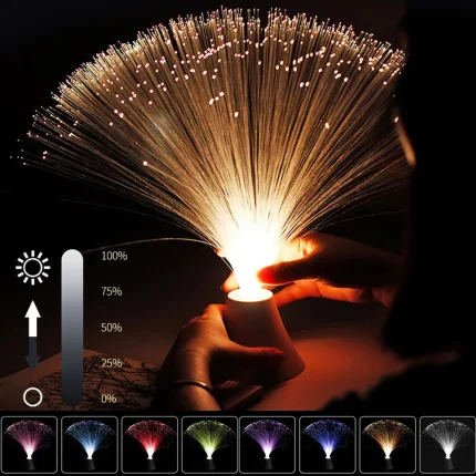 LED Fiber Optic Lanterns, Creating a Starry Sky Atmosphere for Weddings, Parties, Christmas, and Home Decoration