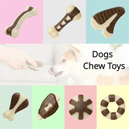 Chewy Cowhide Ring: Rewarding Teething Toy for Dogs