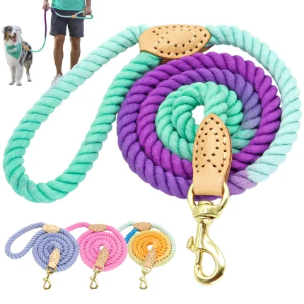 Vibrant Voyage Dog Leash, Colorful Comfort for Adventurous Walks