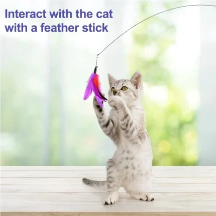 Feathered Fun, Detachable Cat Teaser with Suction Cup Base