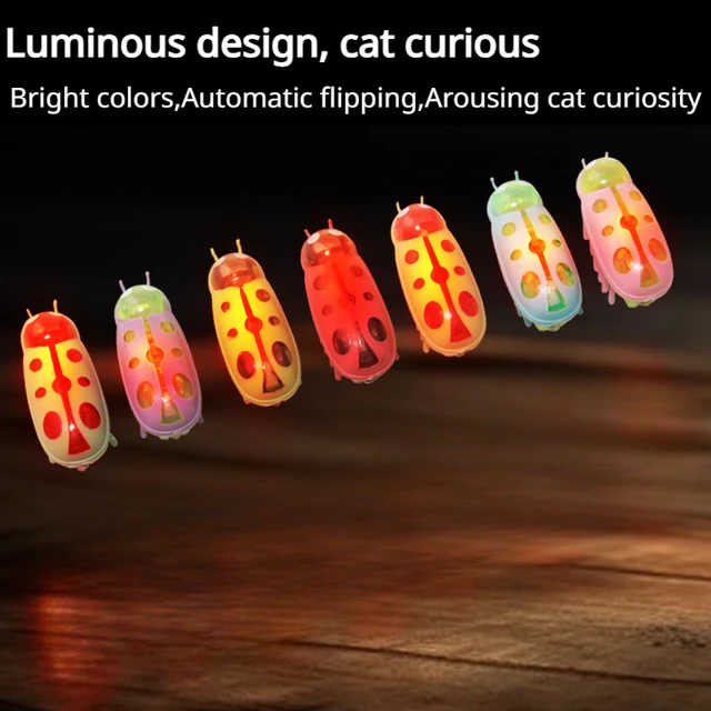 1pc Luminous ladybug