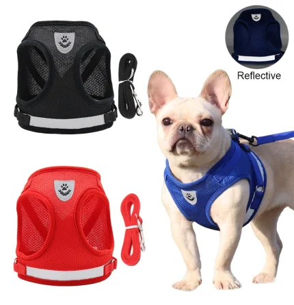 Summer Strolls, Reflective Vest Harness for Your Petite Pooch