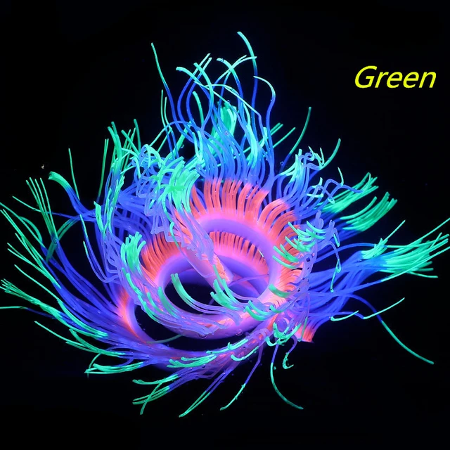Green Sea anemone