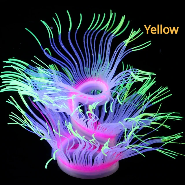 Yellow Sea anemone
