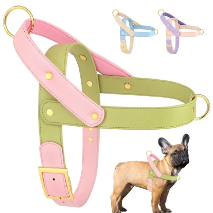 SoftTouch Pitbull Harness: Comfortable Leather for Easy Walks