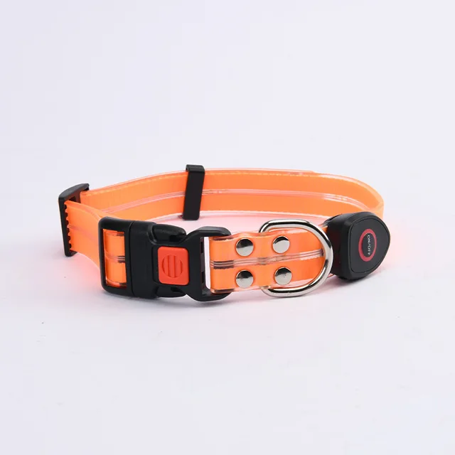 Collar Orange