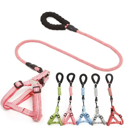 Dynamic Rope Pet Traction Belt, Ideal for Small and Medium-Sized Dogs, Providing Secure and Comfortable Control During Walks