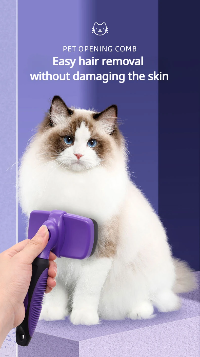 hmqViviiyNSAyin7WuaftzsNvP4GRWl7EouA