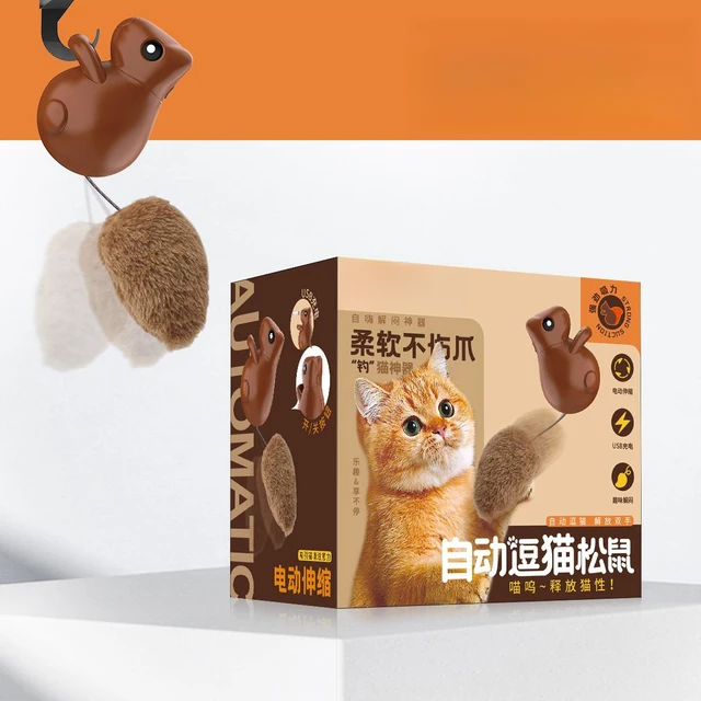 Smart Squirrel Toy