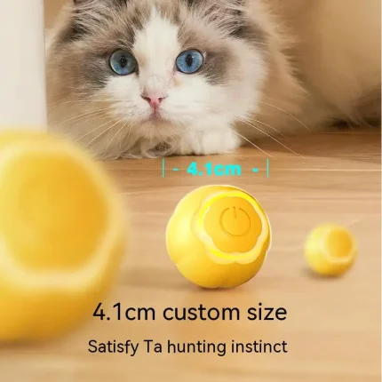 Purrfect Play, Automatic Rolling Cat Ball for Endless Fun