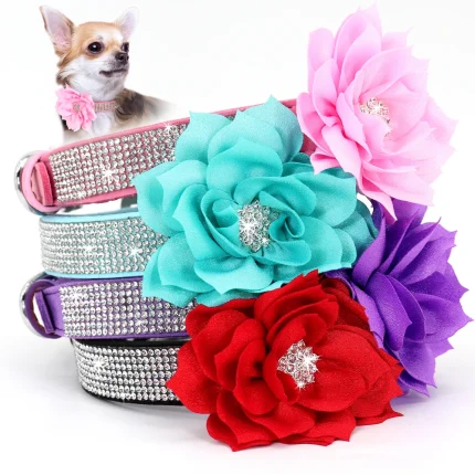 Sparkle Paws, Rhinestone Dog Collar with Floral Accent for Stylish Pets