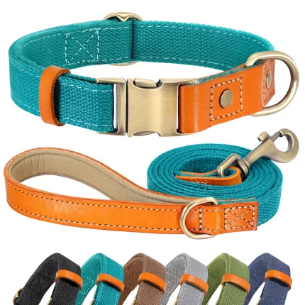 Pet Walk Essentials: Stylish Collar and Leash Set for Your Pug's Daily Walks