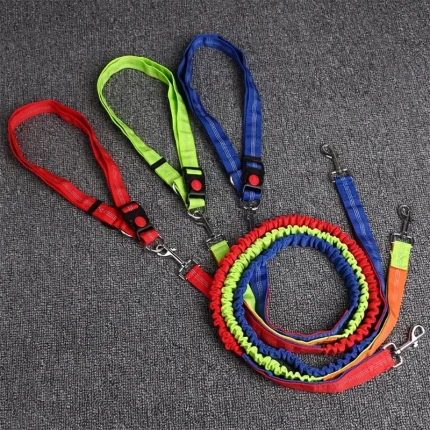 Bungee Leash Set: Hands-Free Comfort for Your Active Lifestyle