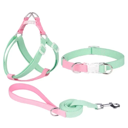 Walk Wise Harness Set: No-Pull Adjustable Nylon Vest with Matching Leash for Comfortable Walks with Your French Bulldog