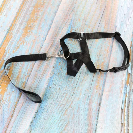 Secure Paws Dog Harness: Adjustable Safety for Dogs of All Sizes