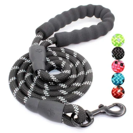 Reflective Dog Leash and Harness Set: Safety and Style for Your Pup