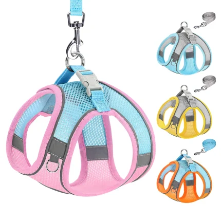 Summer Breeze Set: Reflective Mesh Harness & Leash for Small to Medium Pets