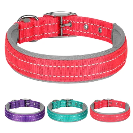 Glow Guard, Reflective Nylon Collar for Safe and Comfortable Walks
