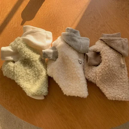 Hipster Pup, Stylish Winter Wear for Your Fashionista Furry Friend