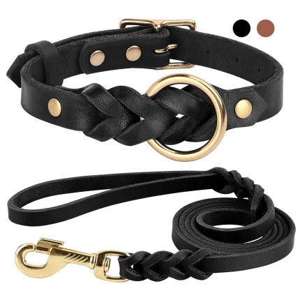 Braided Bliss, Soft Leather Collar & Leash Set for Majestic Medium to Large Dogs