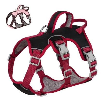 Venture Paws: Waterproof Mesh Harness for Small to Medium Dogs