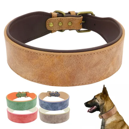 Padded Powerhouse, Wide Leather Collar for Majestic Breeds