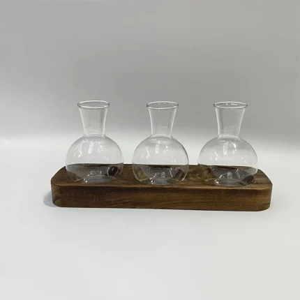 Lazy Hydro Glass, High Borosilicate Vase with Wood Base for Effortless Office or Living Room Greenery