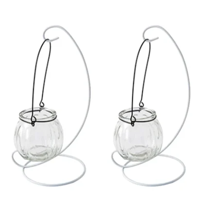 Pumpkin Fresh: Transparent Glass Vase for Creative Living Room Decor