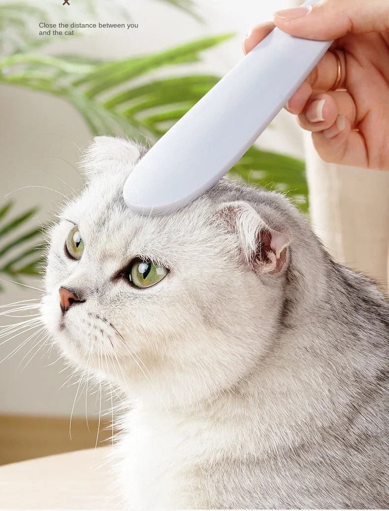 hmqViviiyNSAyin8WuaStzoT1pJdf0yLssmH