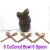 6 Bowl 6 Spoon