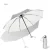 Umbrella 1 White